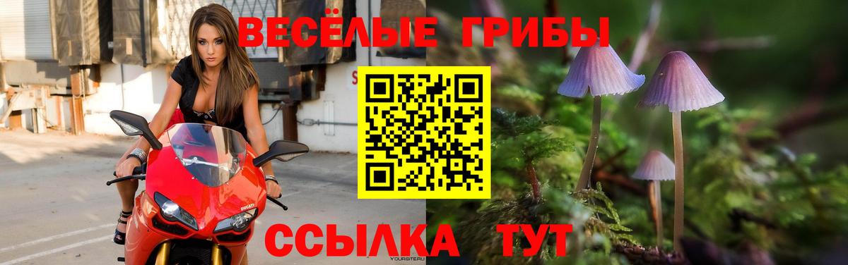 Псилоцибиновые грибы Magic Shrooms  купить наркоту  Качканар  Вход с VPN  Псилоцибиновые грибы мухоморы 